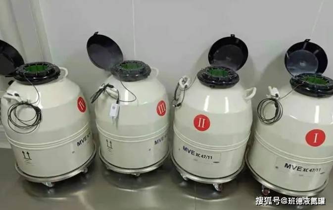 液氮罐十大品星空体育app牌(图1)