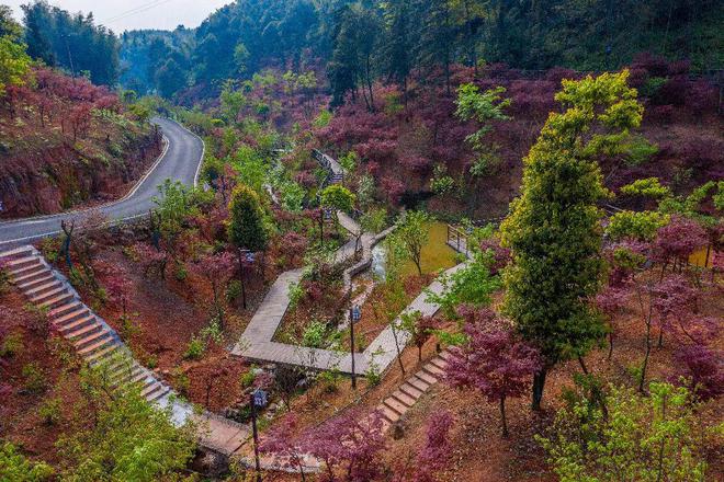 「全国招商」法王寺星空体育app龙挂山：梧桐渐丰茂只待凤来栖！(图3)