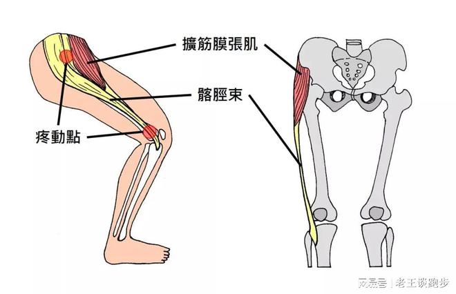 跑后必做的四个拉伸动作远离星空体育官方入口跑步膝！(图2)