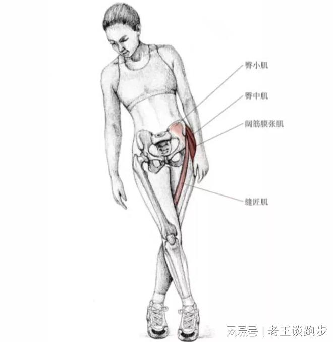 跑后必做的四个拉伸动作远离星空体育官方入口跑步膝！(图6)