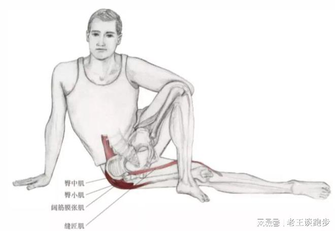 跑后必做的四个拉伸动作远离星空体育官方入口跑步膝！(图8)