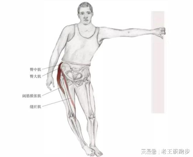 跑后必做的四个拉伸动作远离星空体育官方入口跑步膝！(图7)