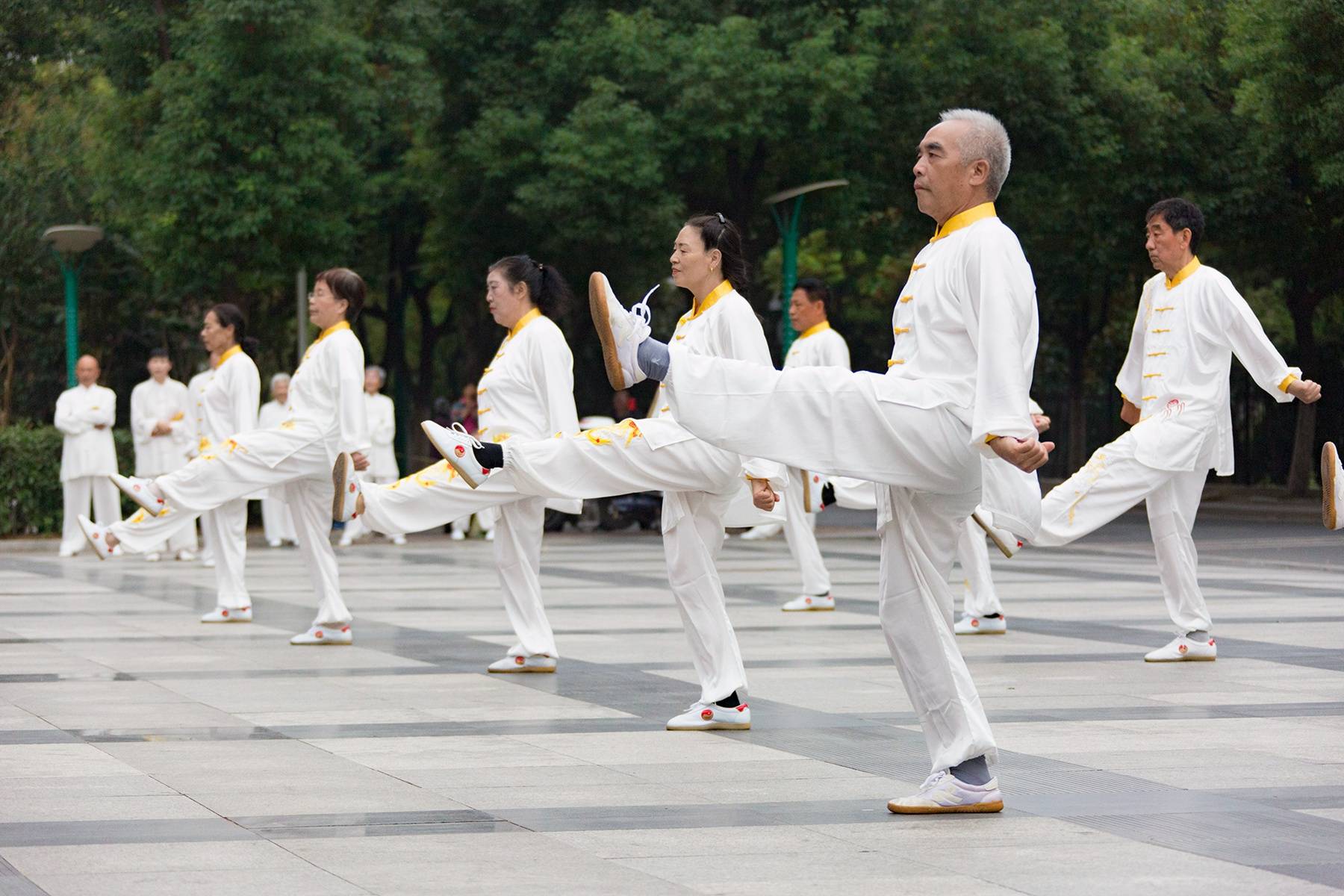 合理的瑜伽练星空体育App下载习让老年人享受瑜伽带来的身心益处(图1)