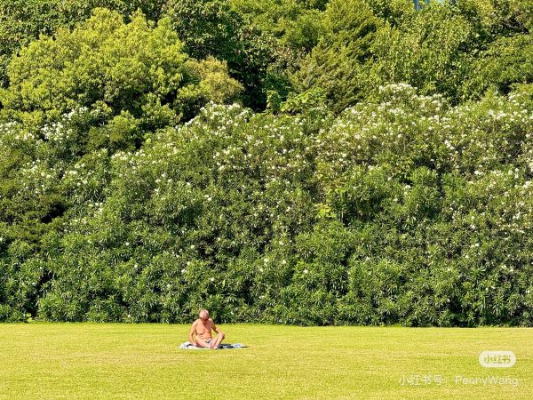 夏令热线公园“晒背族”有些“辣眼睛”园星空体育App下载方：两边都投诉我们成“三(图6)