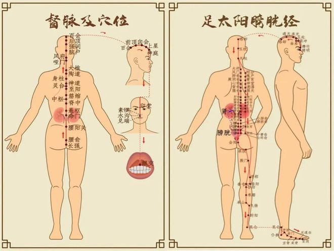 为了「治大星空体育官网病」晒背族在三伏天占领公园(图7)