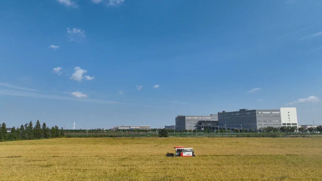 推星空体育app进无人农场建设、提升居民生活品质、优化交通…… “我爱我嘉”20(图2)