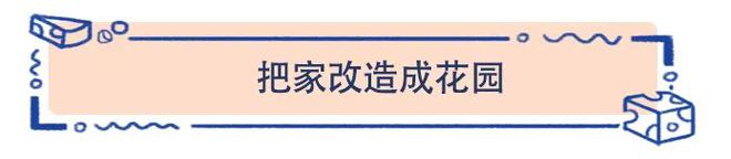 宅在家的荷兰人都在做什么他们也会无聊到星空体育app数瓜子吗？(图2)